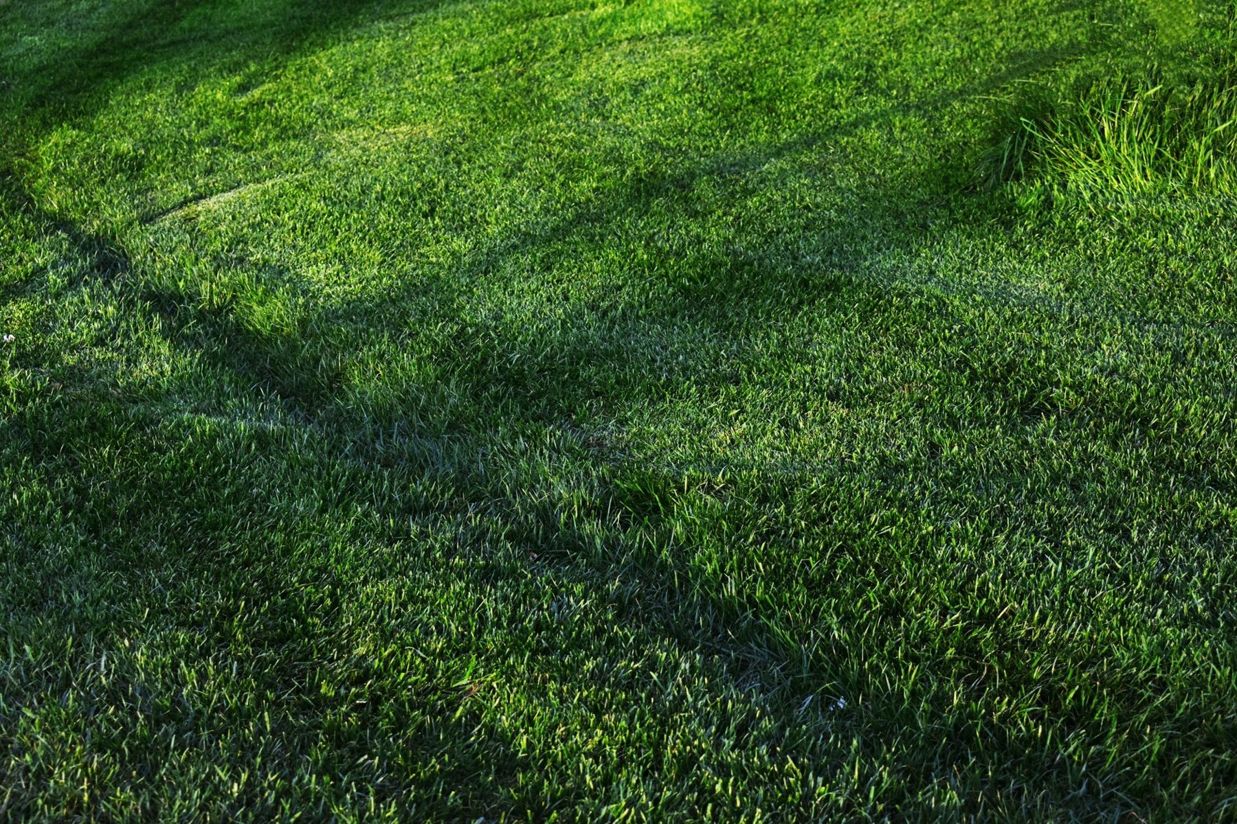 Artificial turf installation in Sun City, AZ